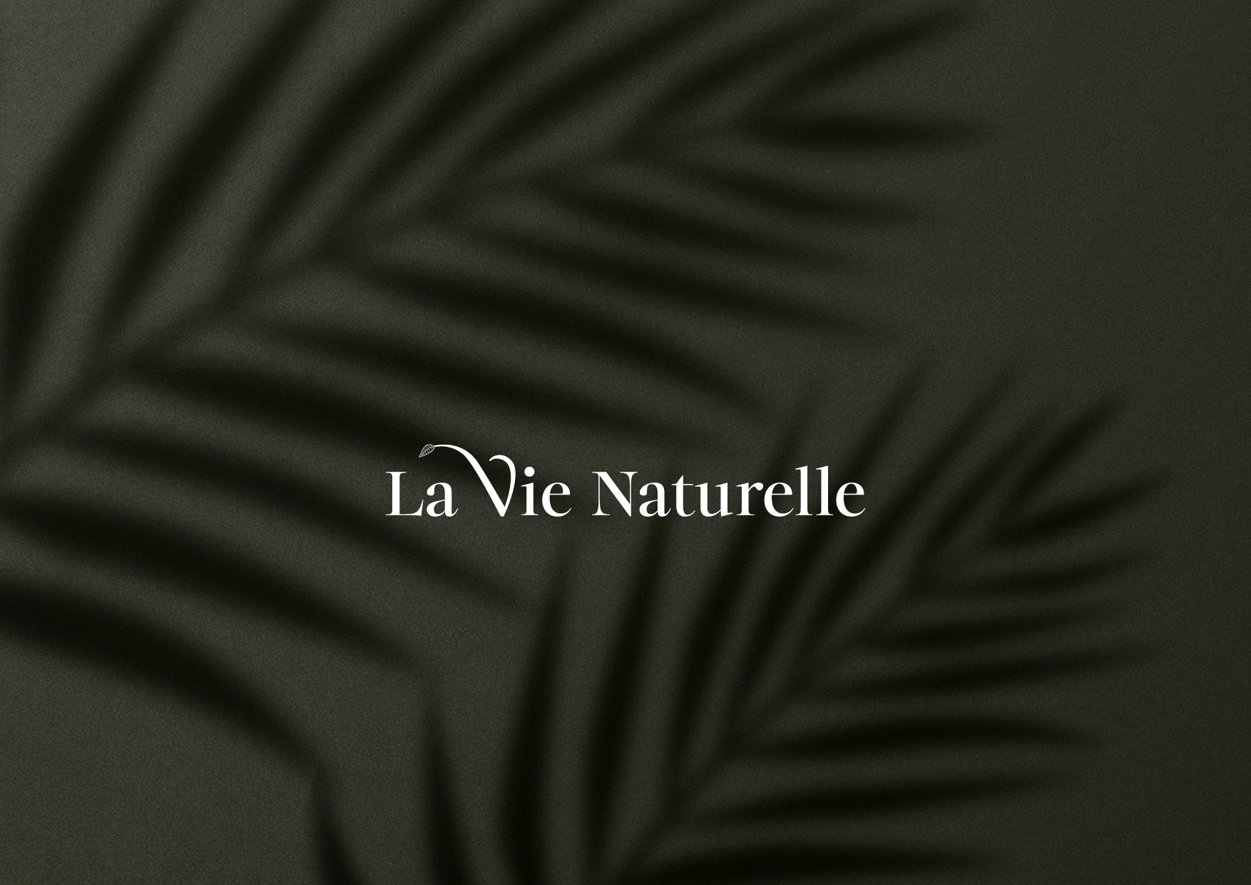 presentation-refonte-logo-LVN-juin-2024-270624-bis4 Refonte du logo de la Vie Naturelle