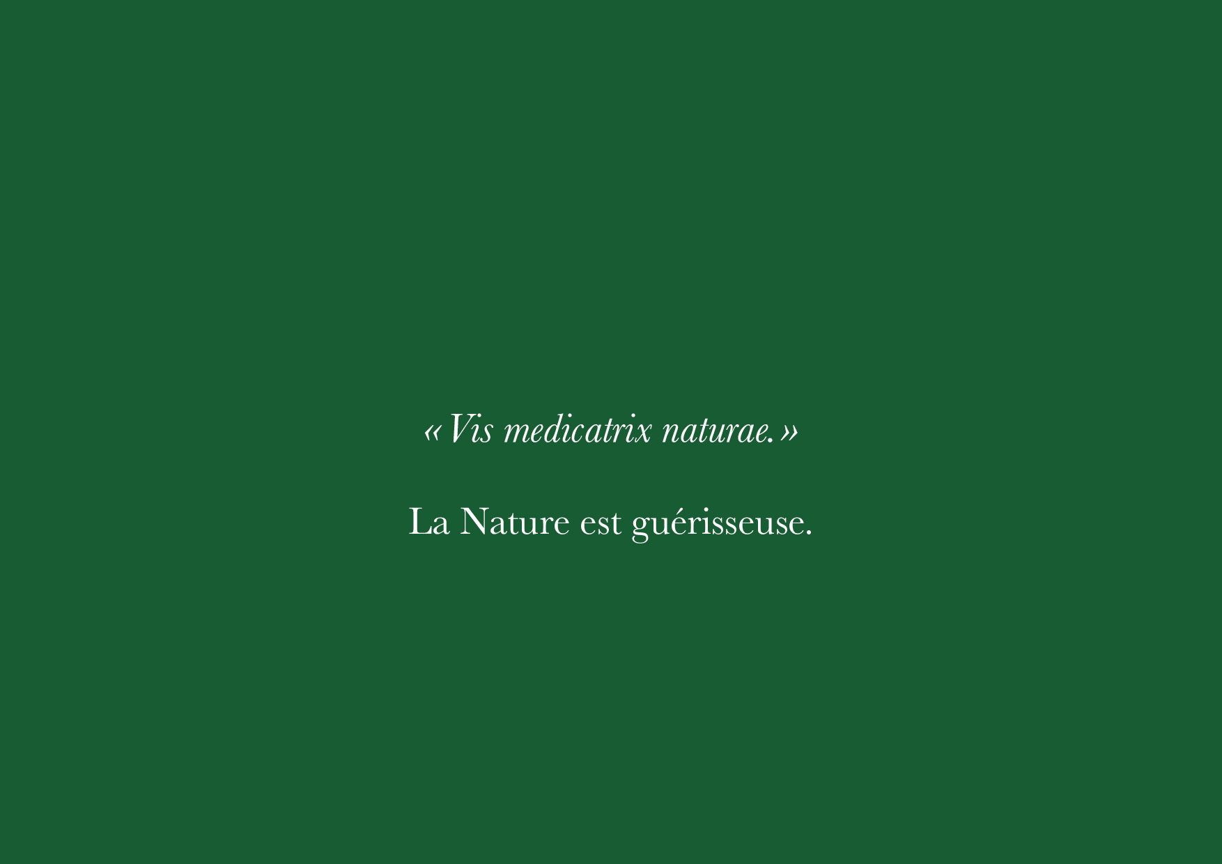 presentation-refonte-logo-LVN-juin-2024-270624-bis5 Refonte du logo de la Vie Naturelle