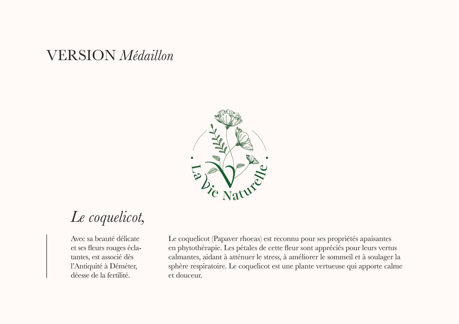 presentation-refonte-logo-LVN-juin-2024-270624-bis7 Refonte du logo de la Vie Naturelle
