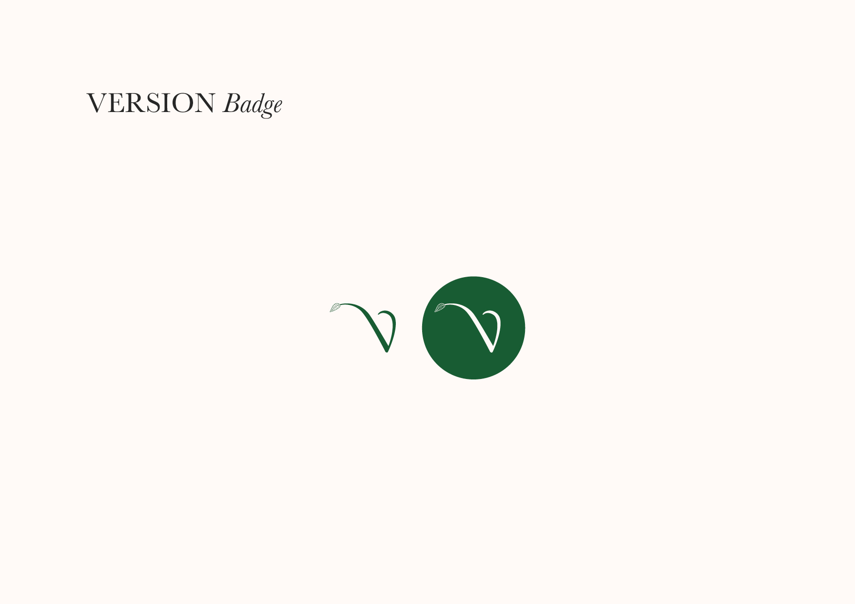 presentation-refonte-logo-LVN-juin-2024-270624-bis9 Refonte du logo de la Vie Naturelle